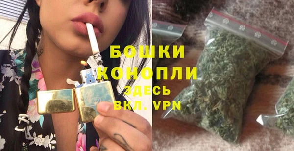 ПСИЛОЦИБИНОВЫЕ ГРИБЫ Верея