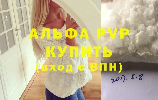 ПСИЛОЦИБИНОВЫЕ ГРИБЫ Верея
